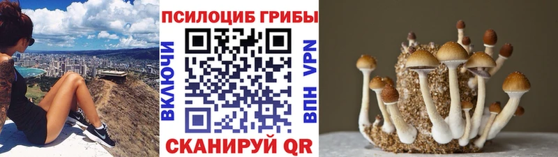 Галлюциногенные грибы ЛСД Королёв